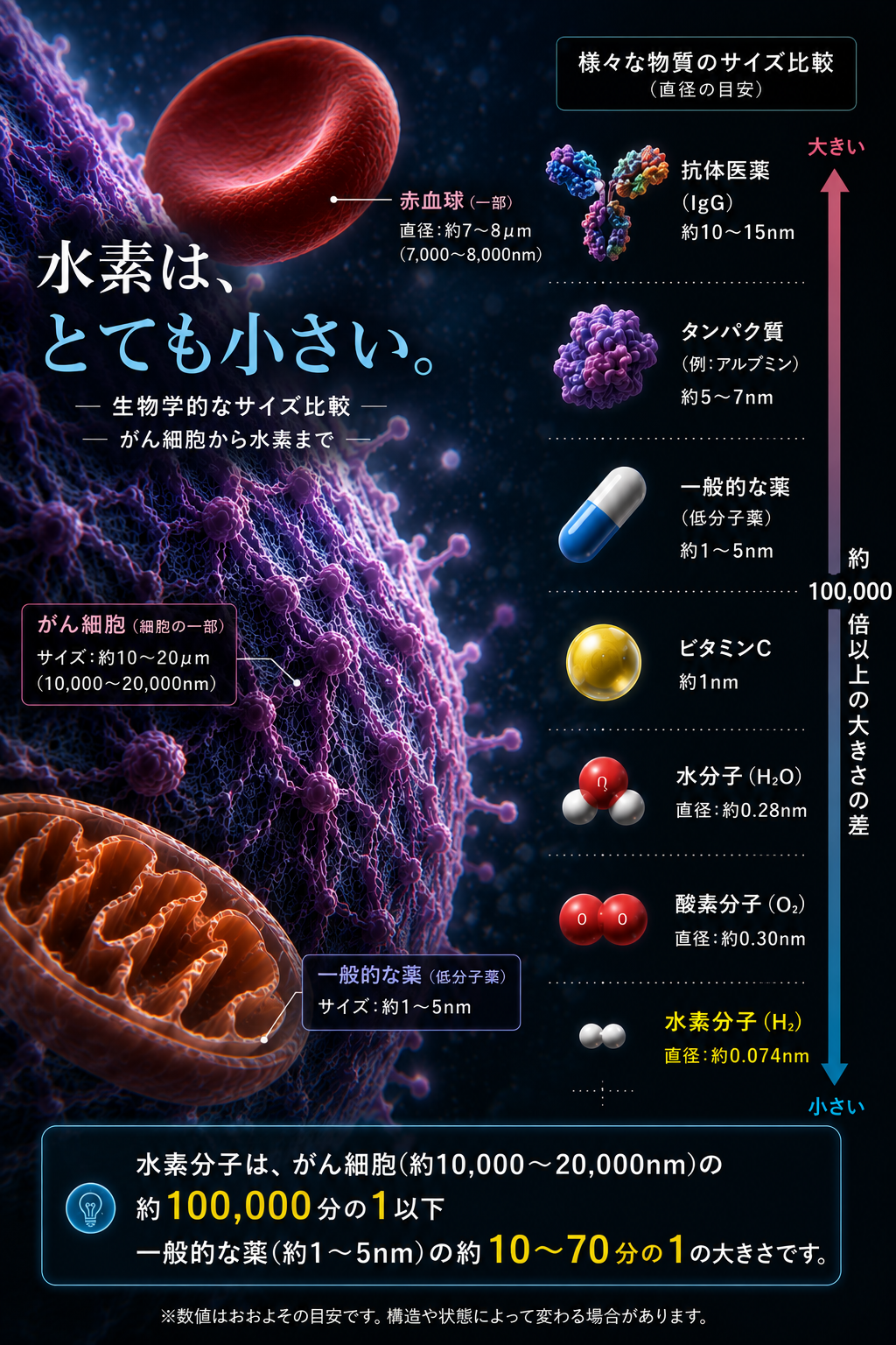 水素分子と、一般的な薬・ビタミン・タンパク質・抗体医薬のサイズ比較図