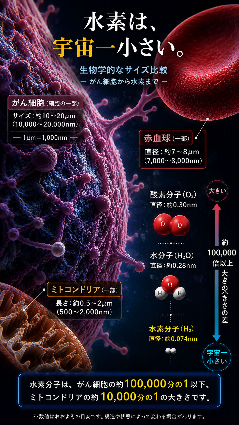 水素分子の小ささを、がん細胞・赤血球・ミトコンドリア・酸素分子・水分子と比較した図解